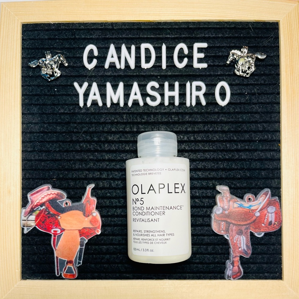 🌻 New with seal intact Full size Olaplex 5 Conditioner 🌻